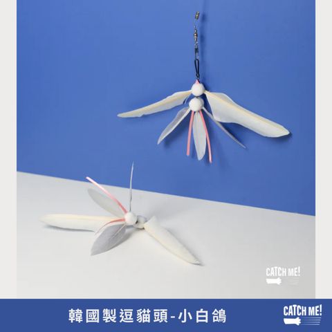 tw-11134207-81ztj-mfaqgifae22wb1