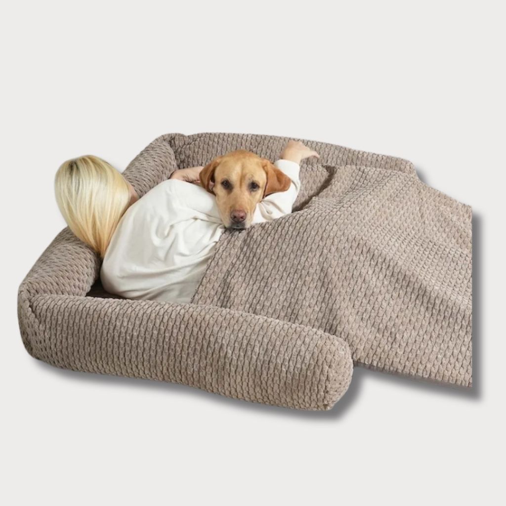 tw-11134207-81zti-mft6ptnnm5fv0e