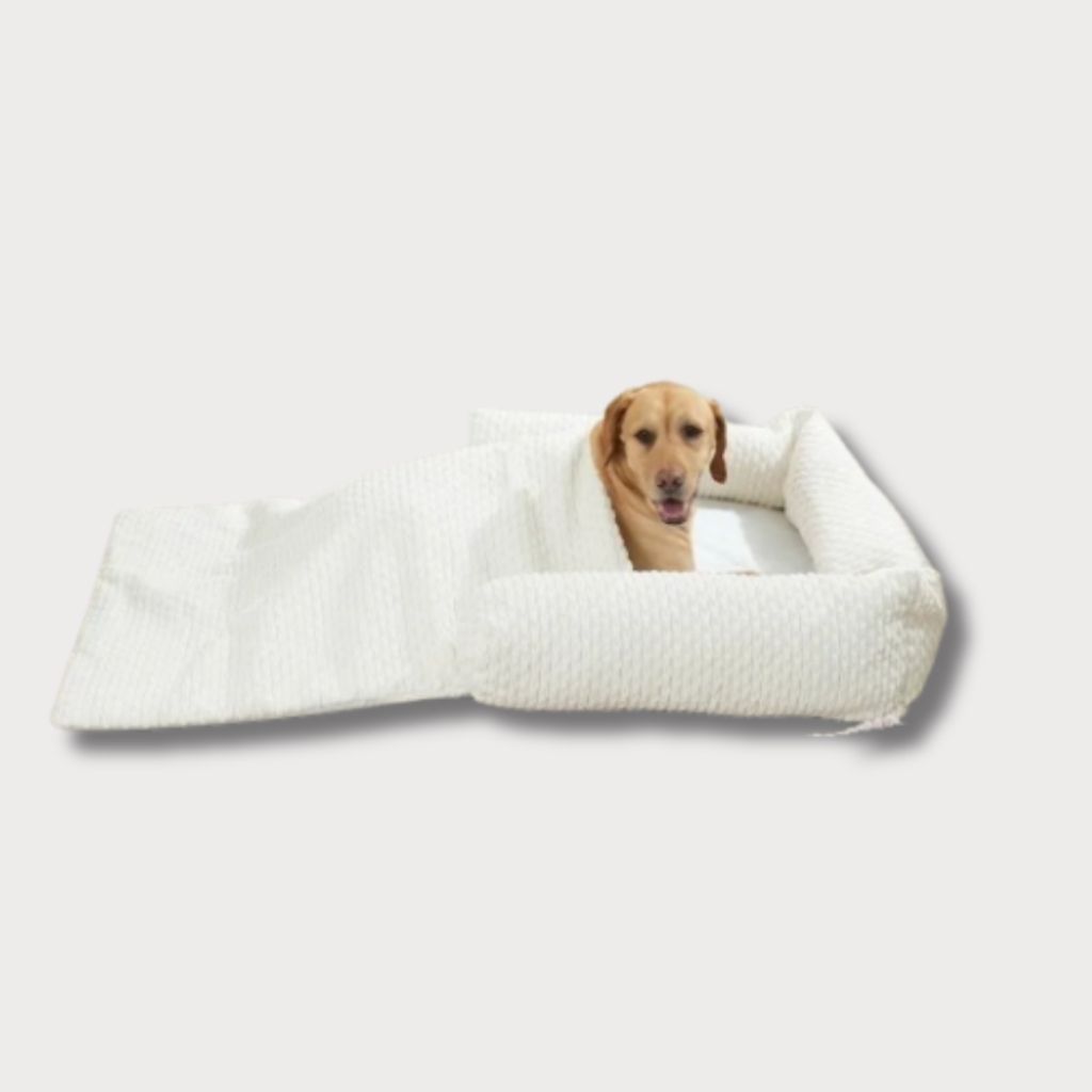 tw-11134207-81ztq-mft6pvcfnhn111