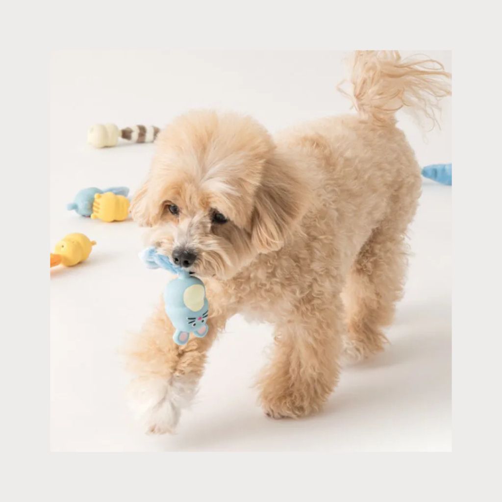 tw-11134207-7ra0t-mbor0rlrfa5me1