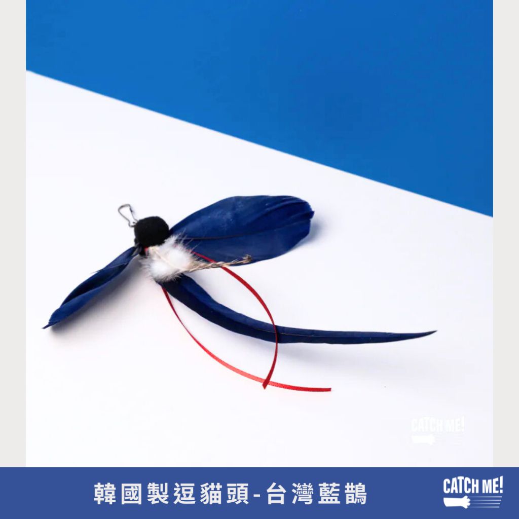 tw-11134207-81ztq-mfapwl1pzklm9c