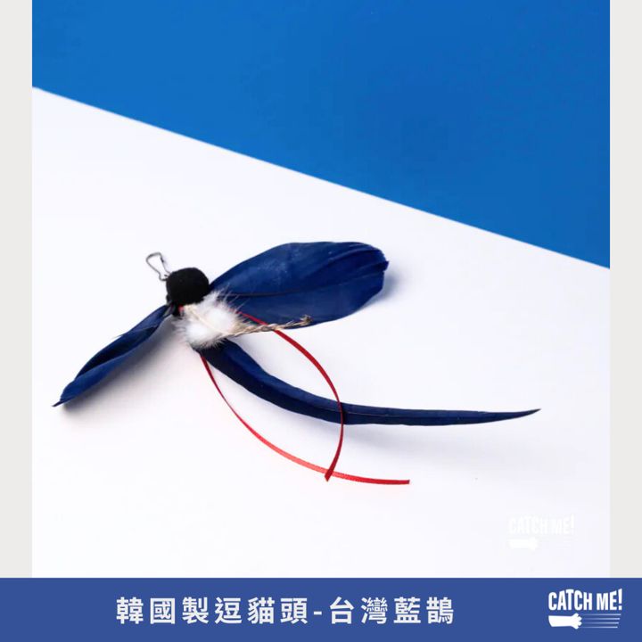 tw-11134207-81ztq-mfapwl1pzklm9c