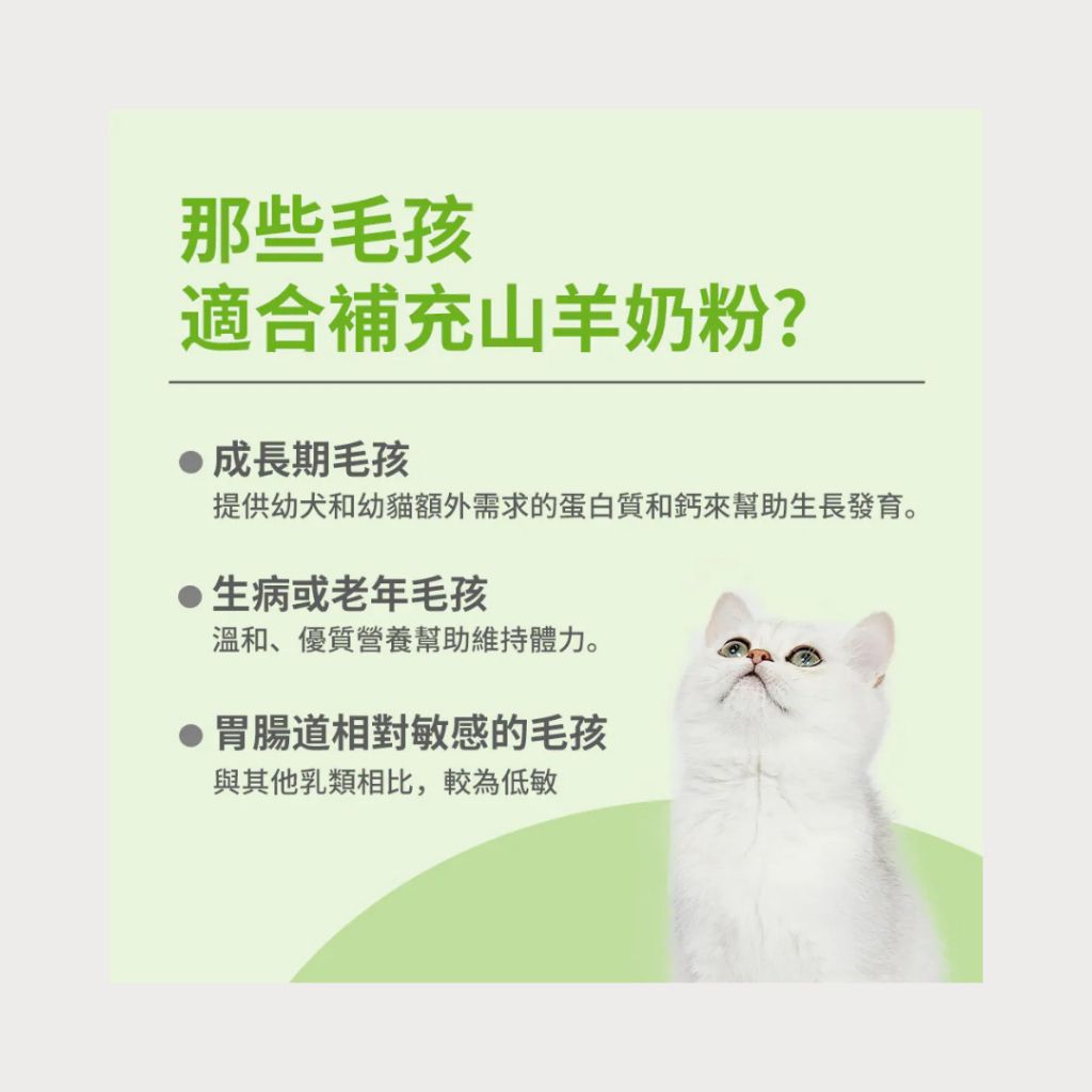 tw-11134207-81zti-mfja33htdybz0a