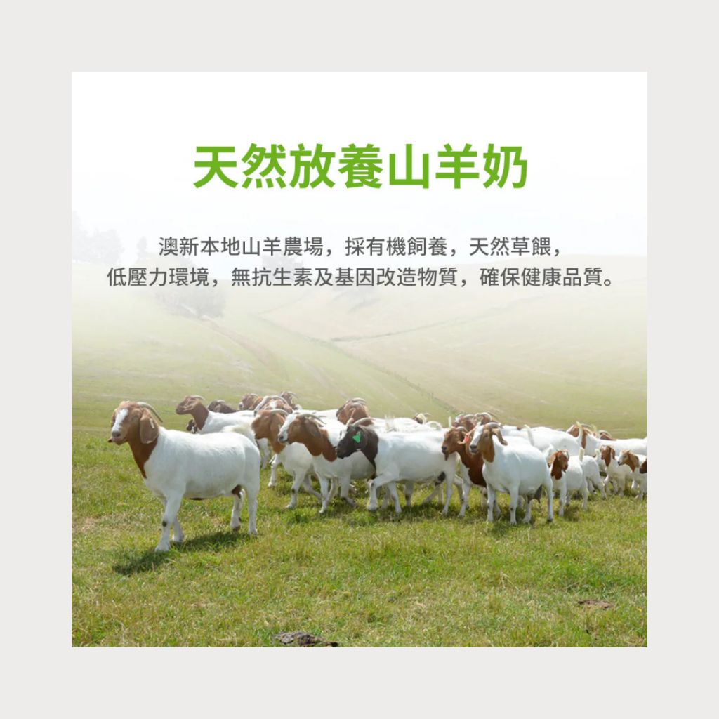 tw-11134207-81ztl-mfja36c8qwp727