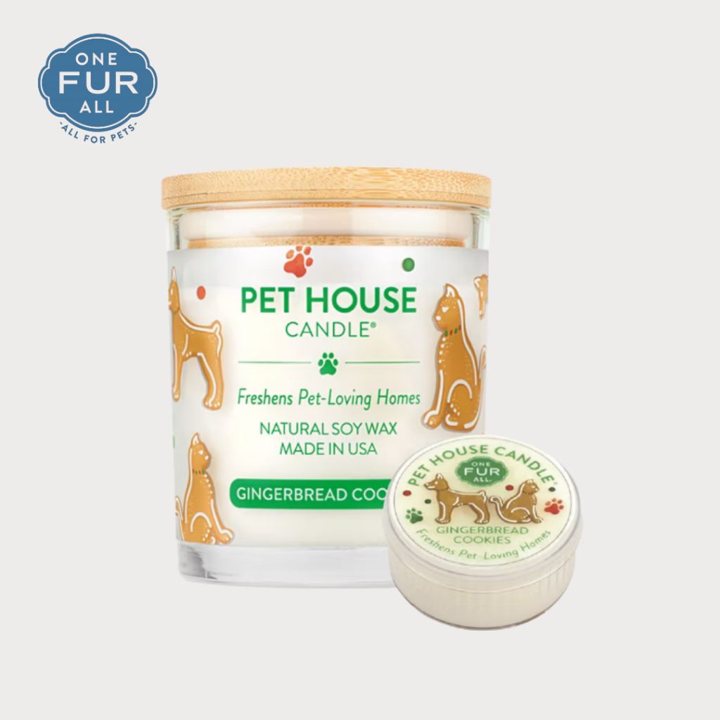 tw-11134207-81ztm-mfj6i1qp4c951b