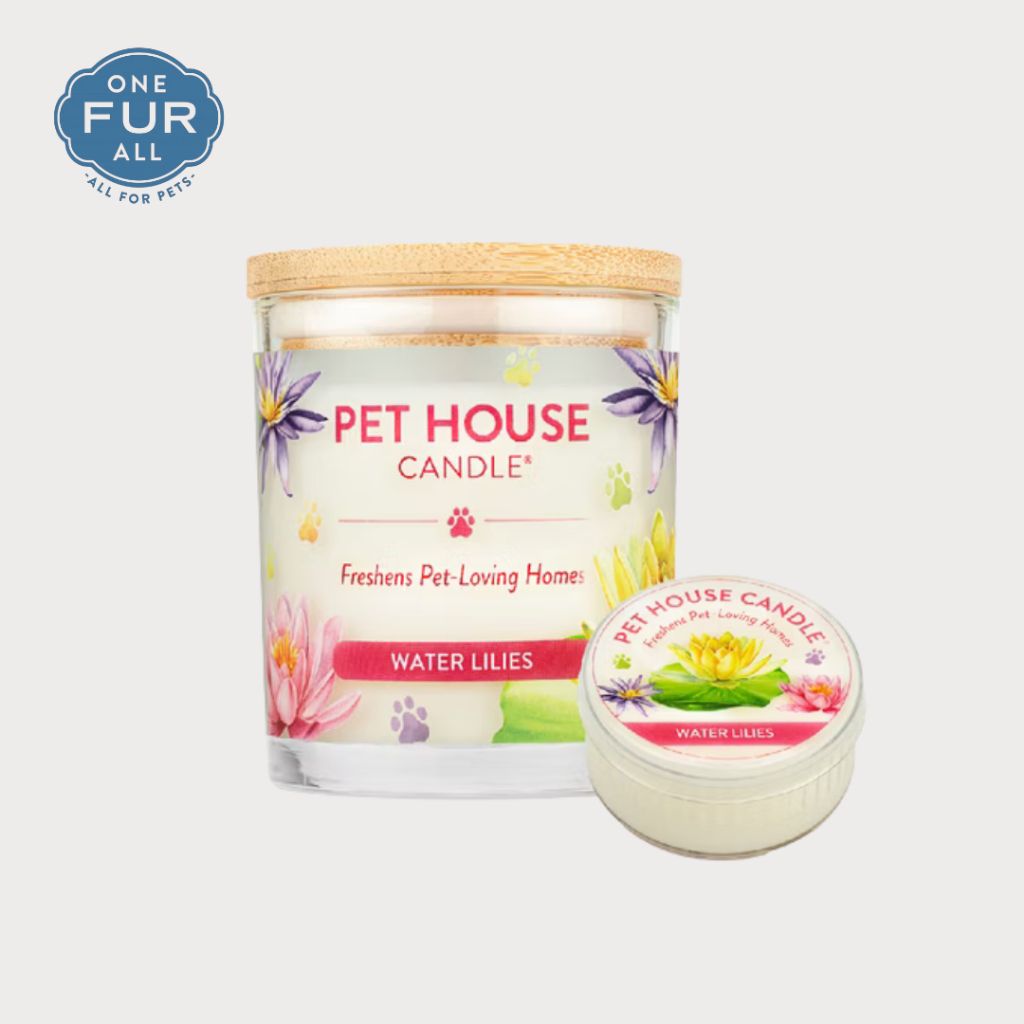 tw-11134207-81ztp-mfj6j7gh42ryae