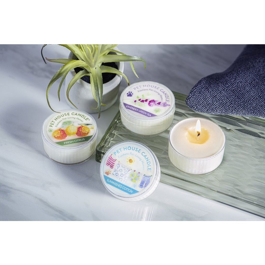 7b9ff38b2455762fe3066b56d5b7f9b2