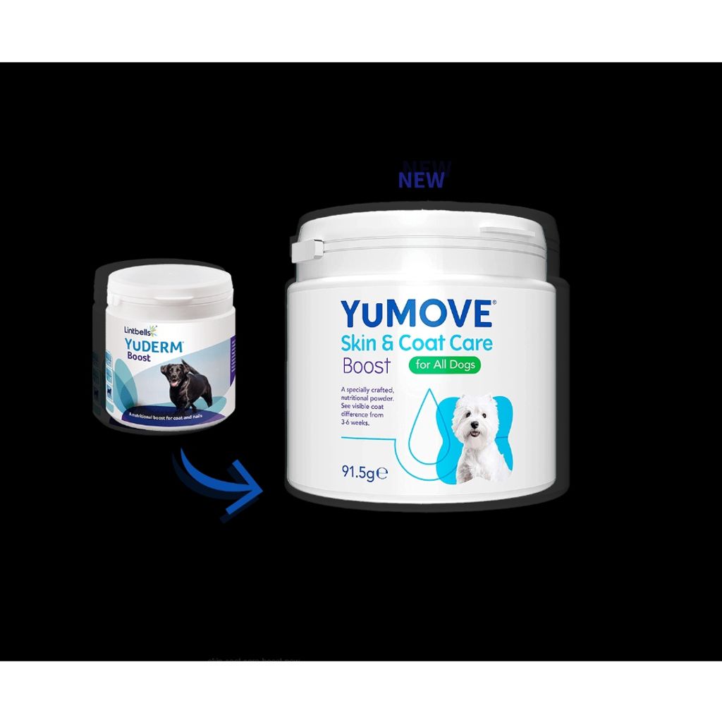 tw-11134207-7r98s-lvx01tmxs8c0c8