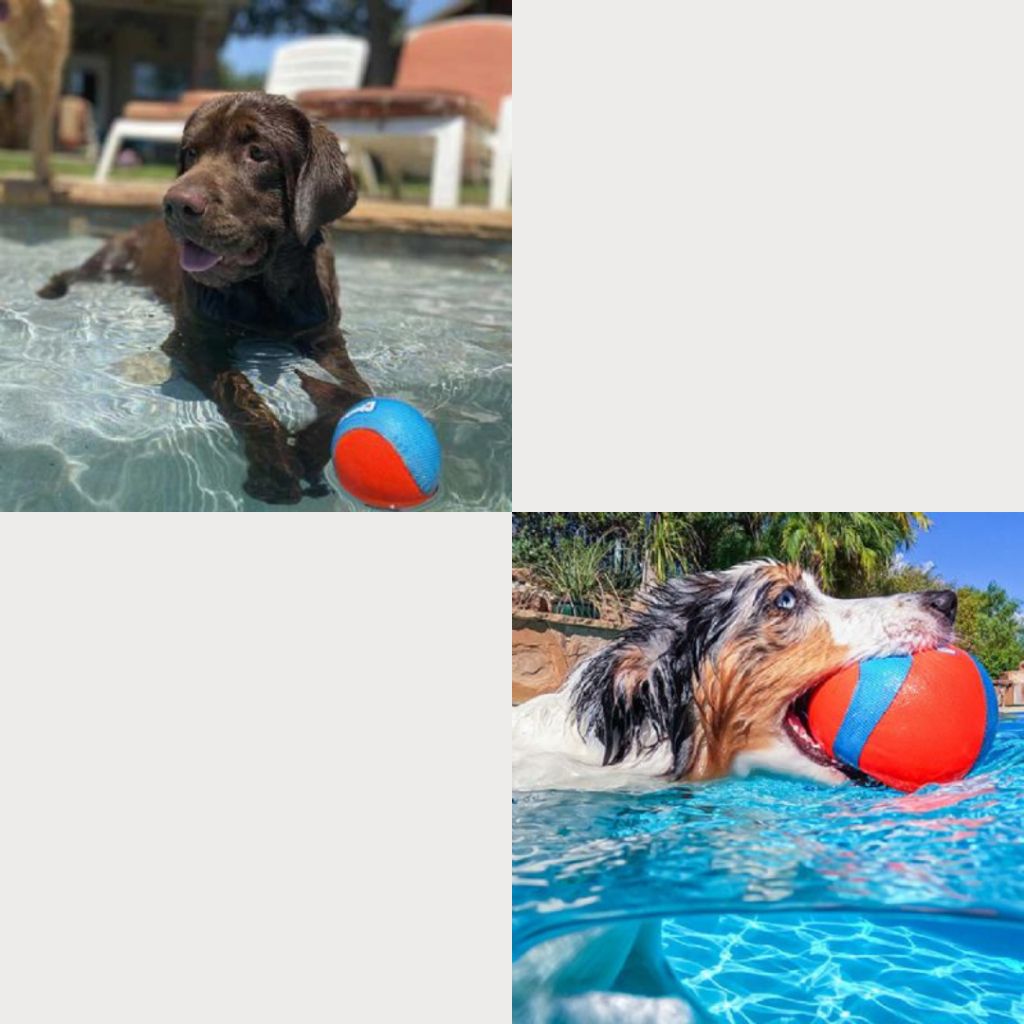 tw-11134207-7ra0p-mdle3vghr9phe3