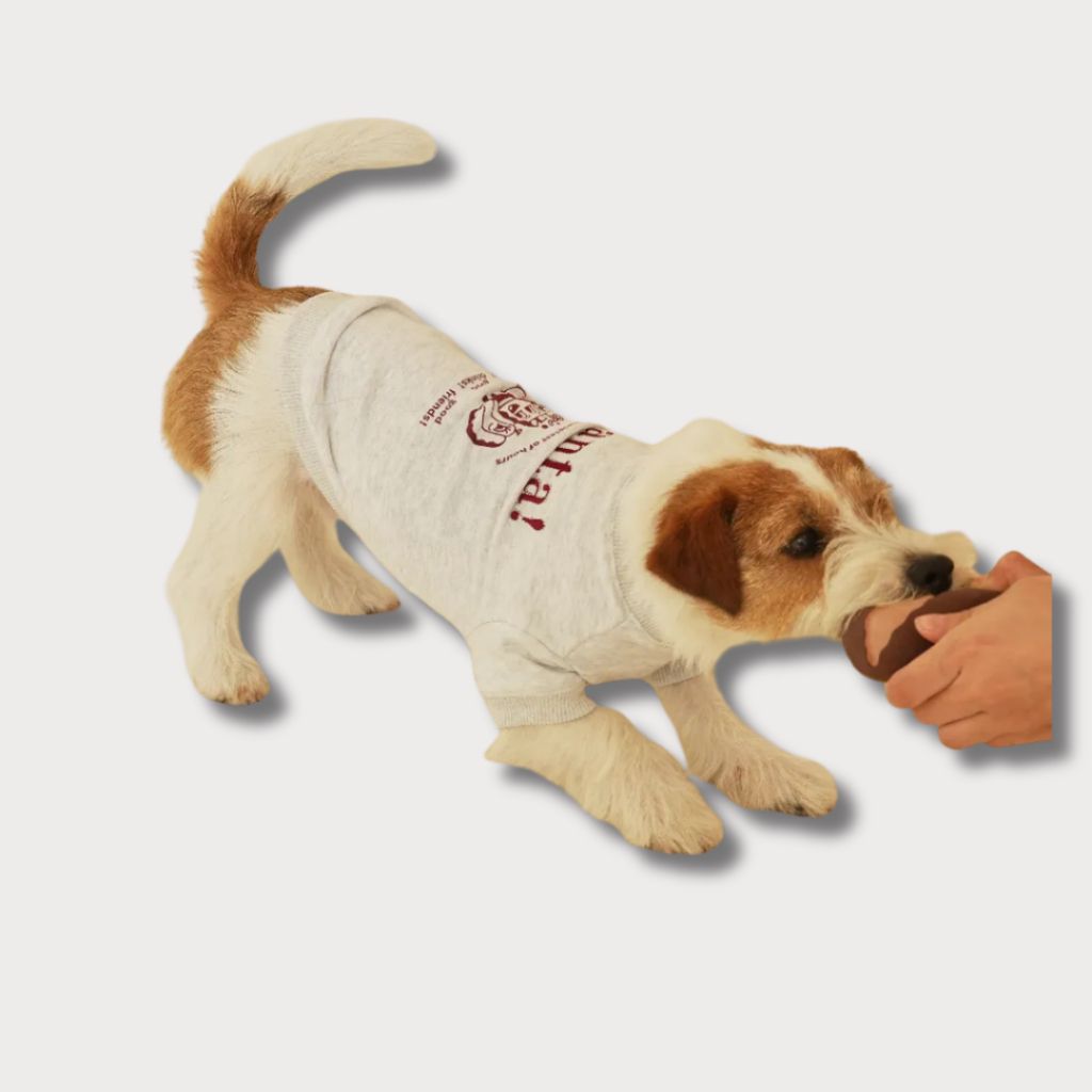 tw-11134207-81ztd-megnlo9qtq8072