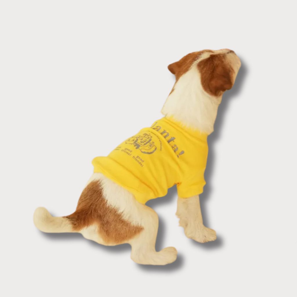 tw-11134207-81ztg-megnlqj88d1d31