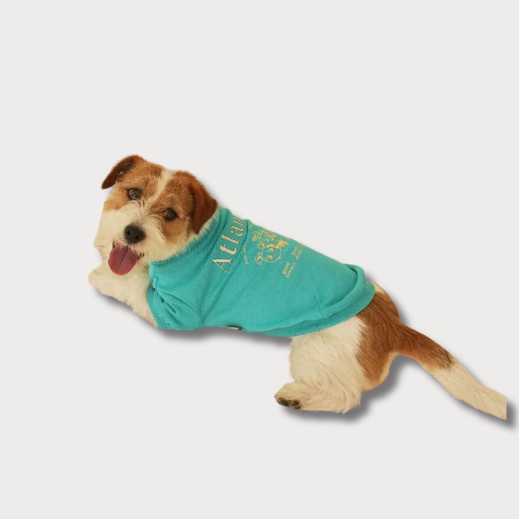 tw-11134207-81ztk-megnlsu8krgj01