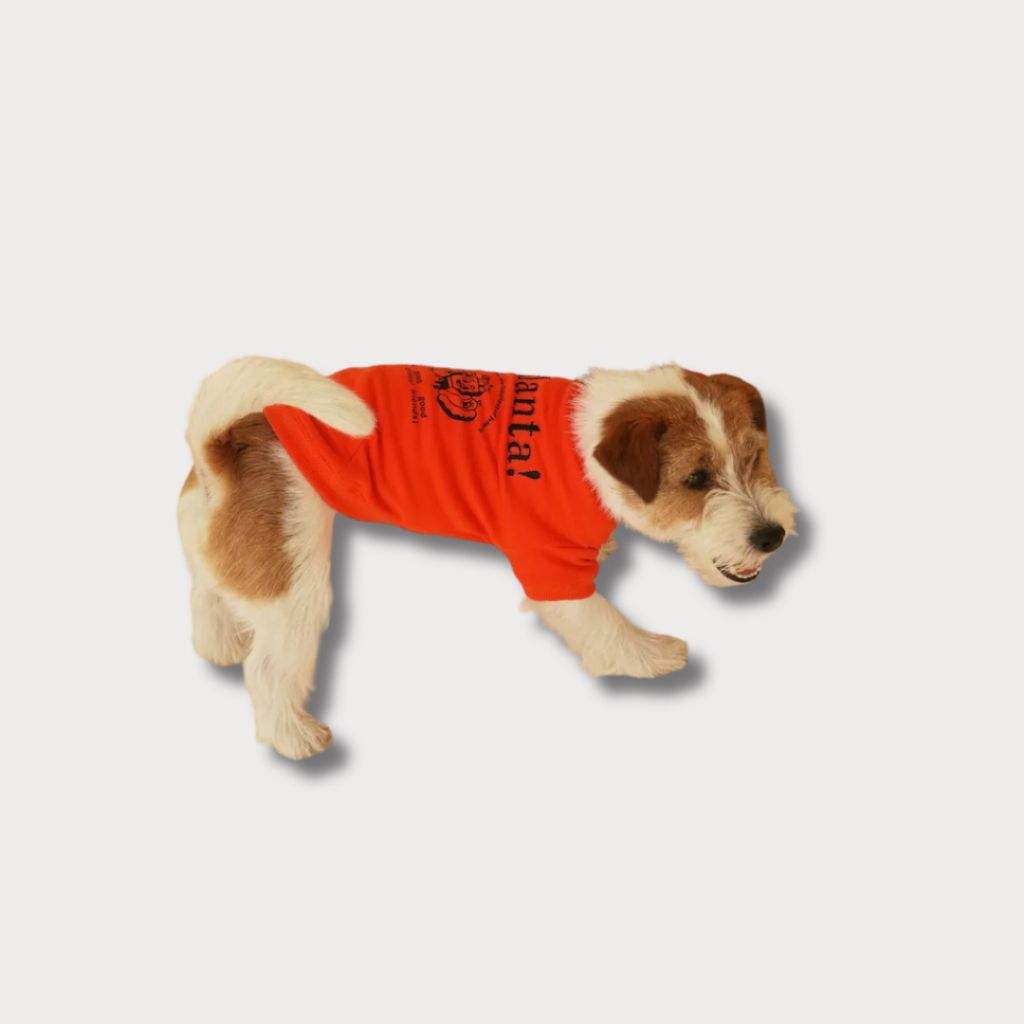 tw-11134207-81ztg-megnlvu95khue1