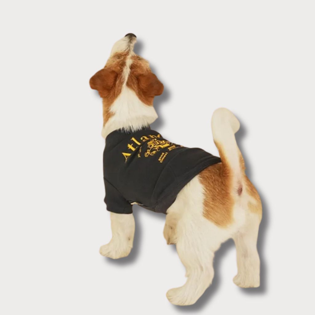 tw-11134207-81ztp-megnlxr2bgu839