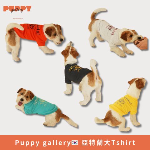 tw-11134207-81zte-megnjqf52o78e0