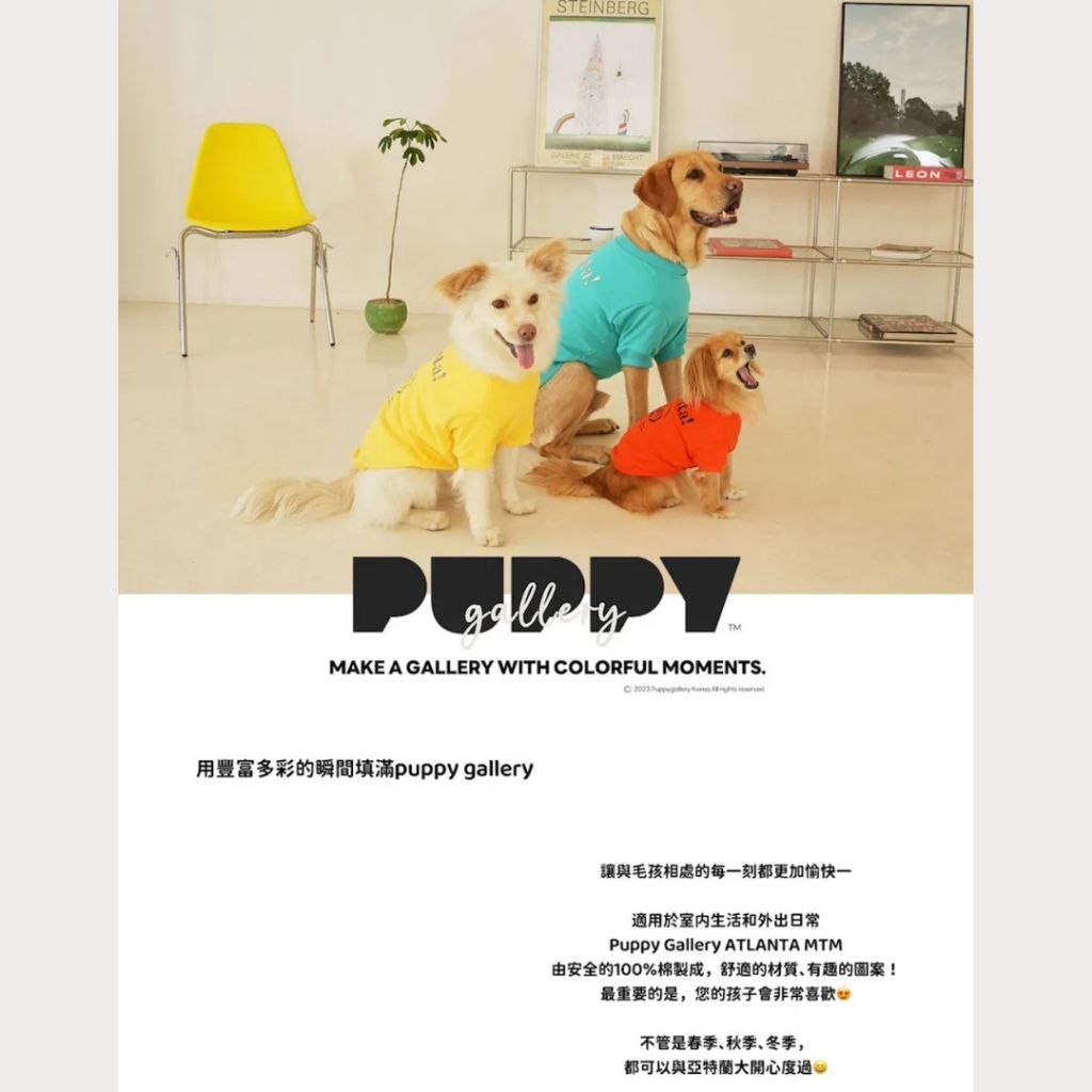 tw-11134207-81ztl-megnjun8gcn80e