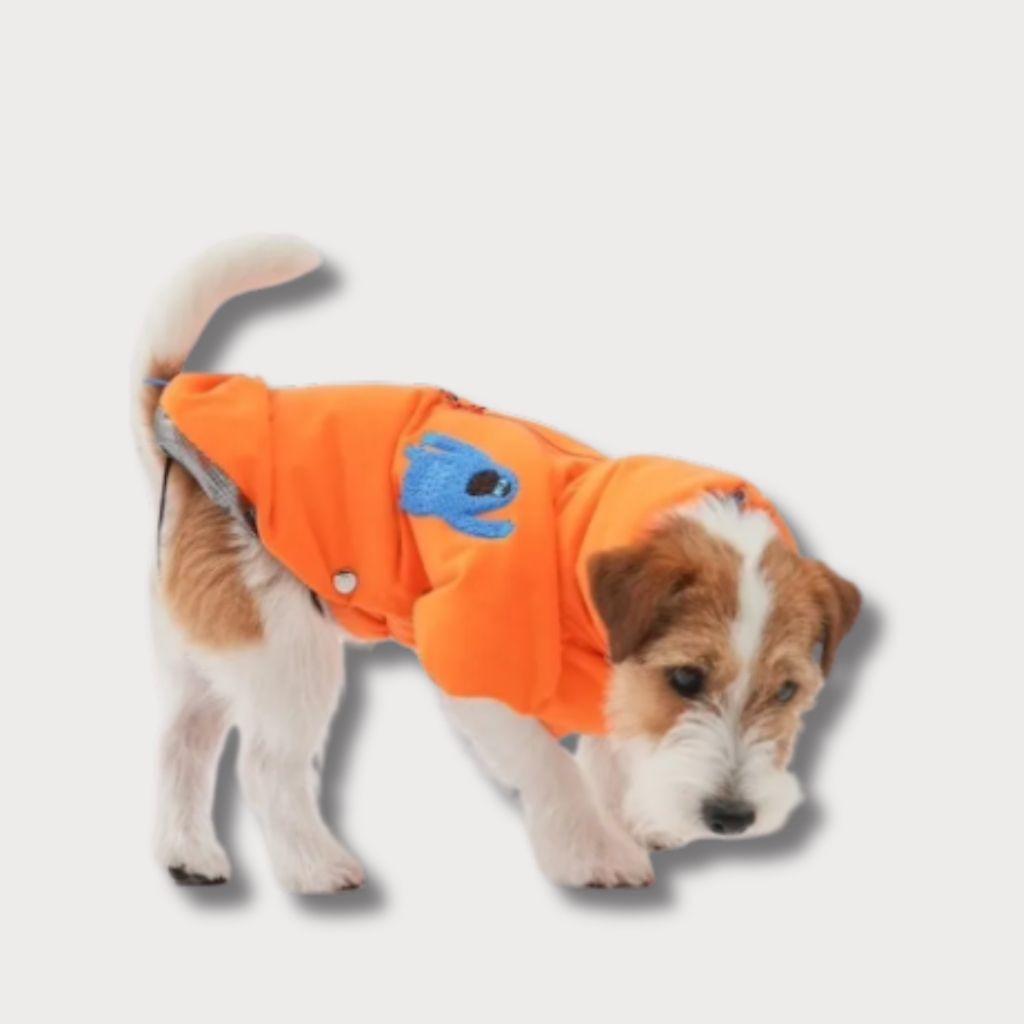 tw-11134207-81ztn-meguheqekagxd6