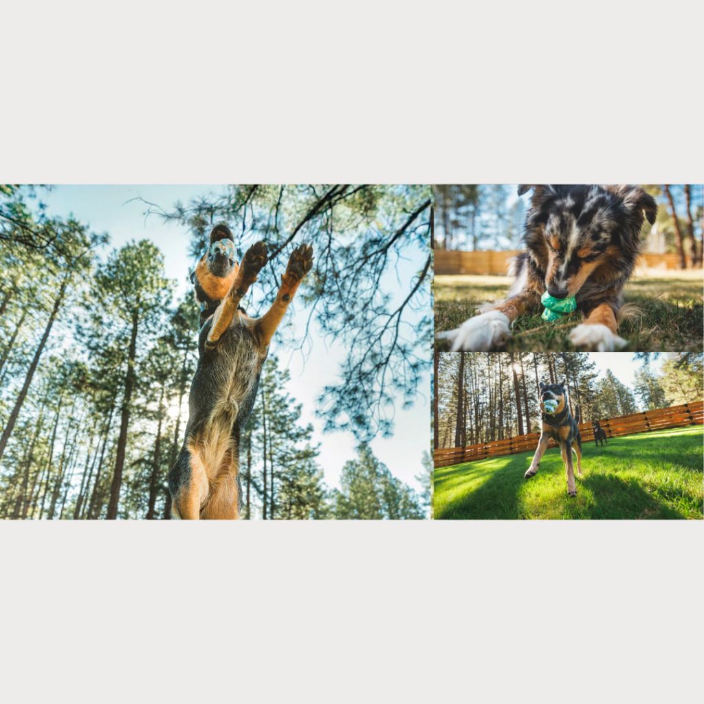 tw-11134207-7rasm-m3bzvrugwpp62e