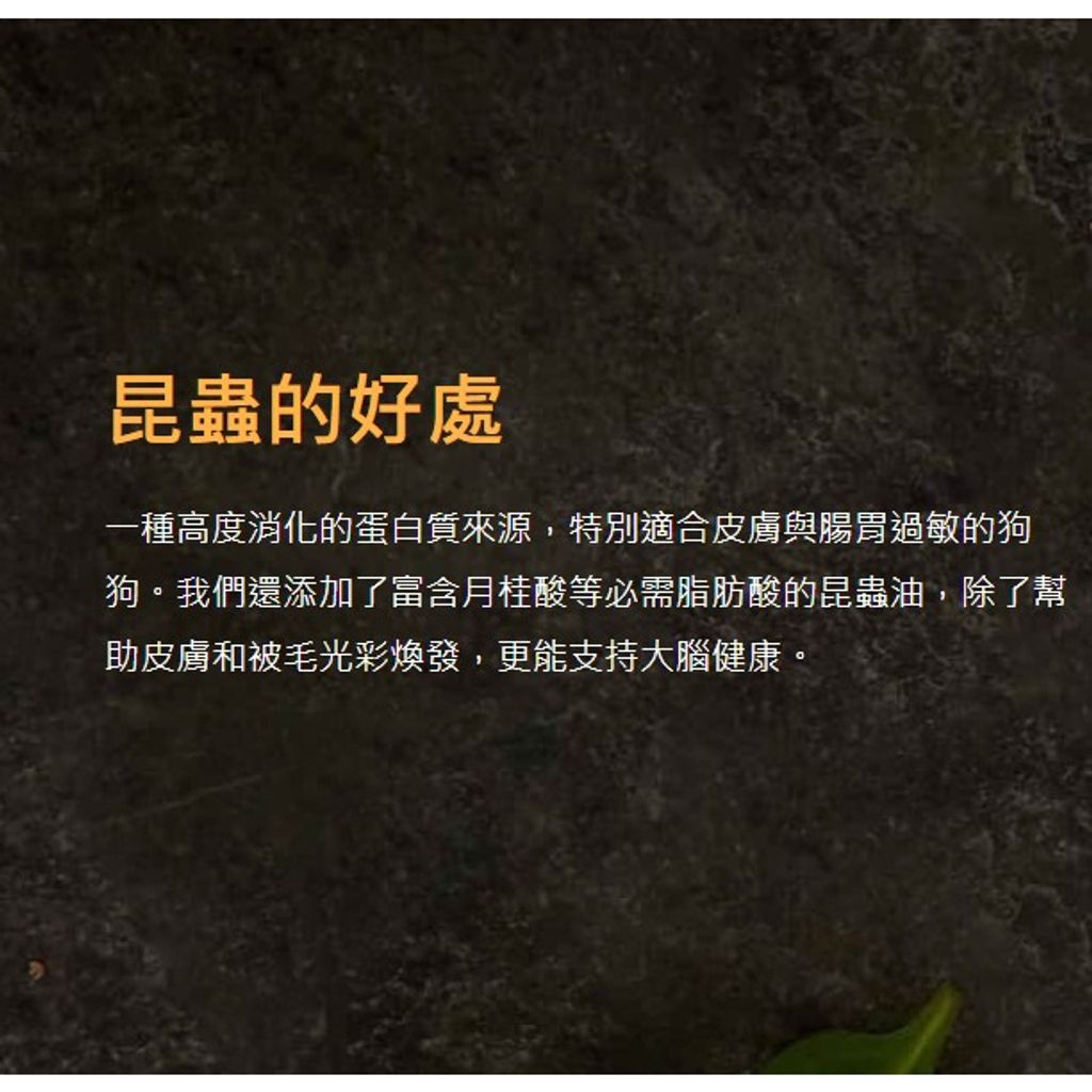 tw-11134207-7qukz-lg8zil40exii4a