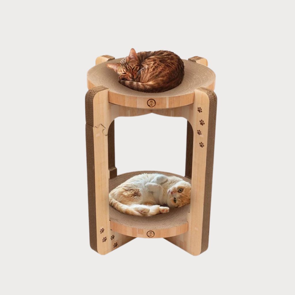 tw-11134207-81zto-me5mghf12fic56