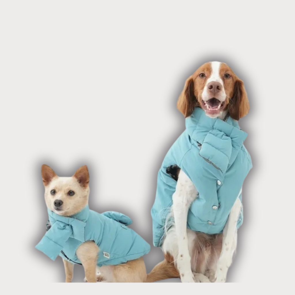 tw-11134207-81zti-megw2pc4cb9dde