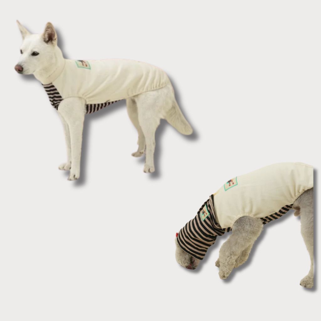 tw-11134207-81zto-mefk34pmxypw11