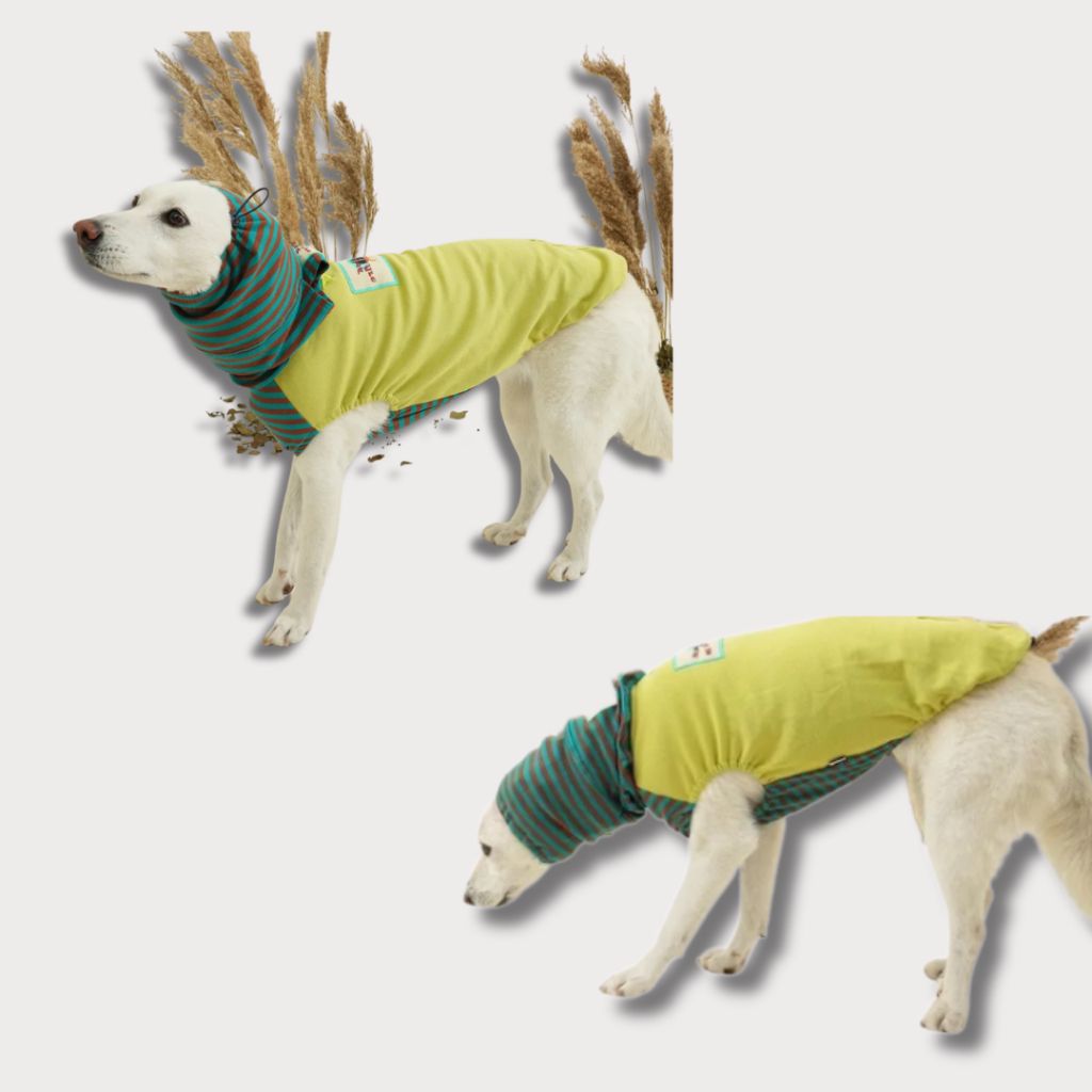 tw-11134207-81ztc-mefk36ualmo5ba