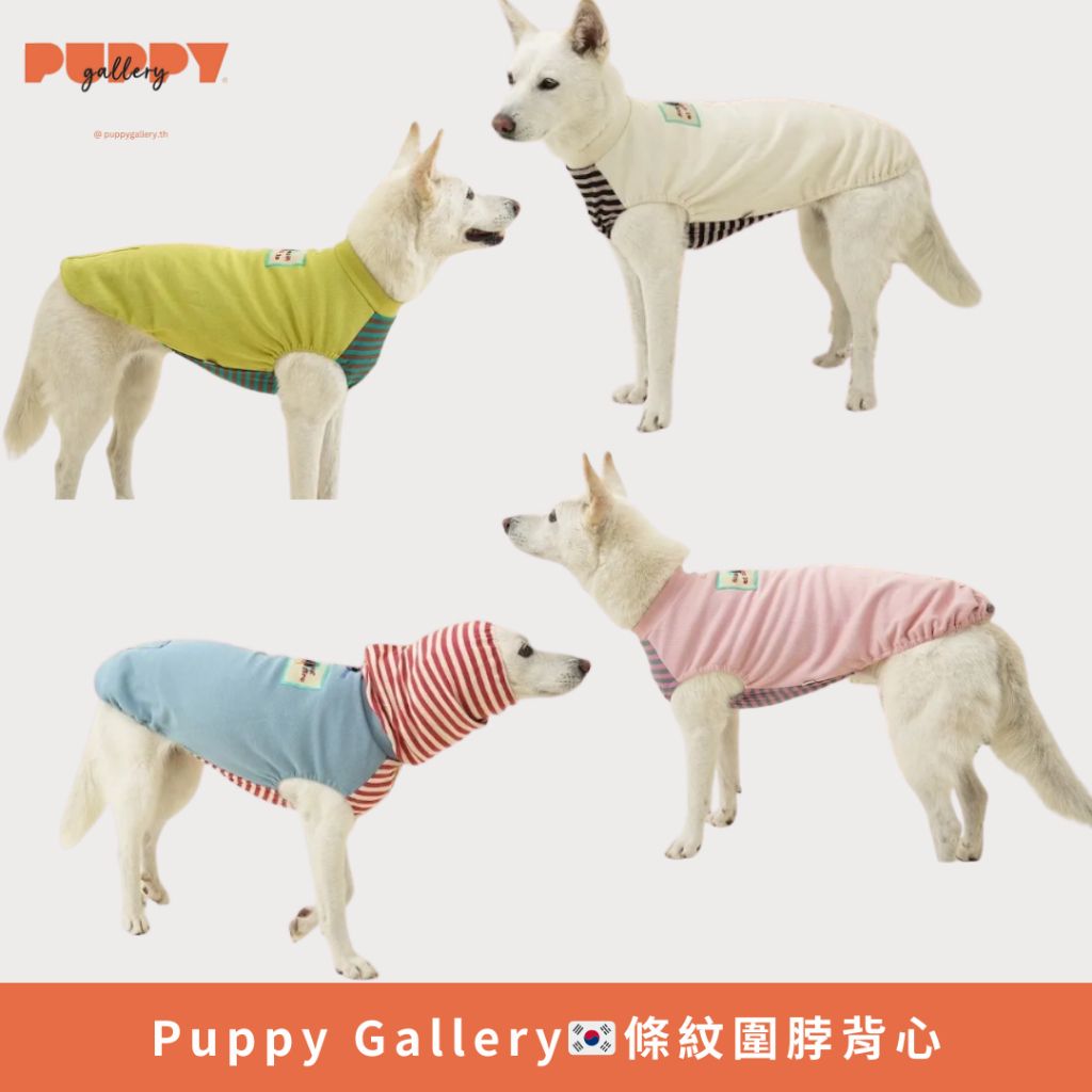 tw-11134207-81zte-mefjxuqkhsslce