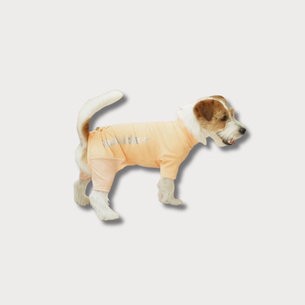 tw-11134207-81ztm-meh0z91ahypt0f