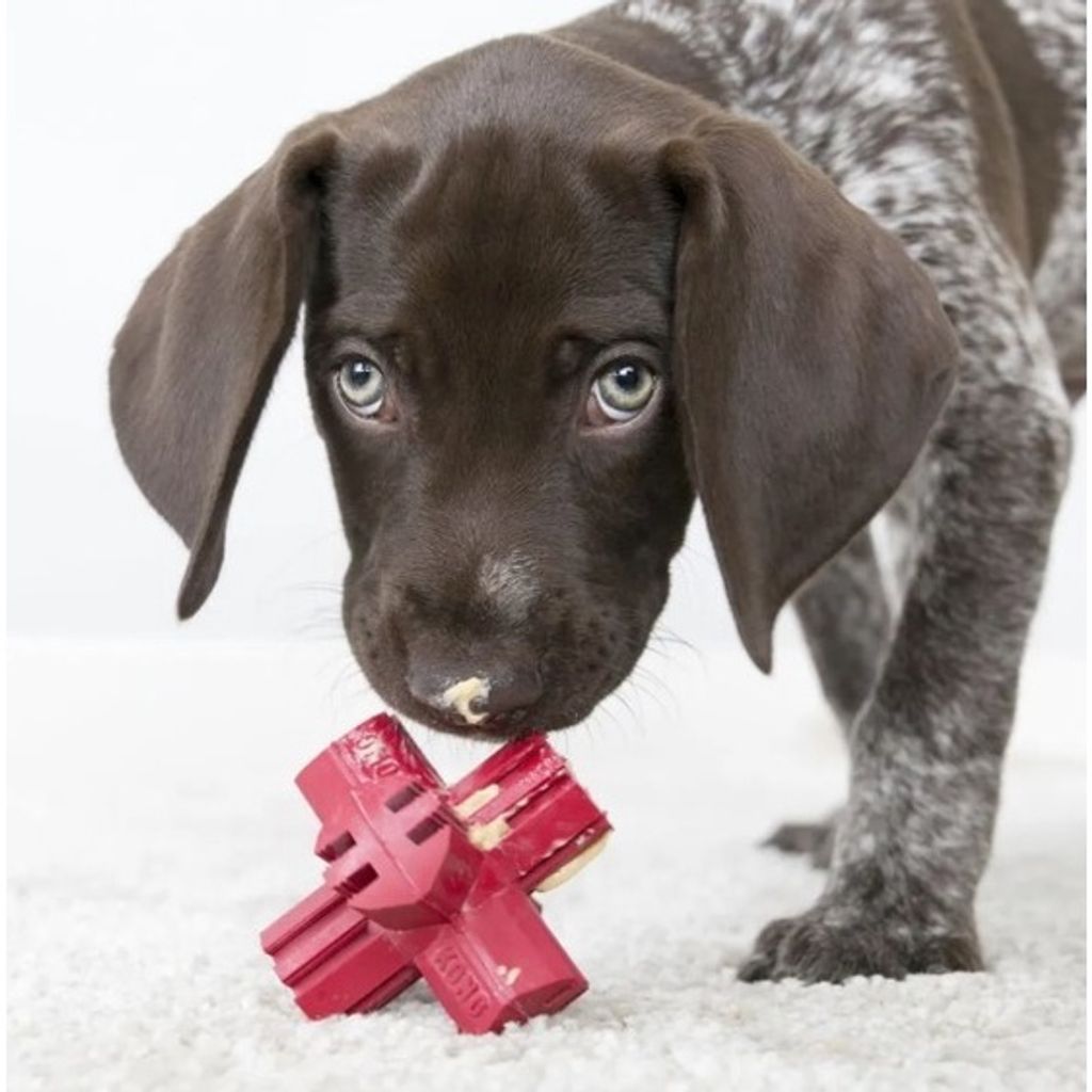 sg-11134201-22110-mwoygqo030jv07