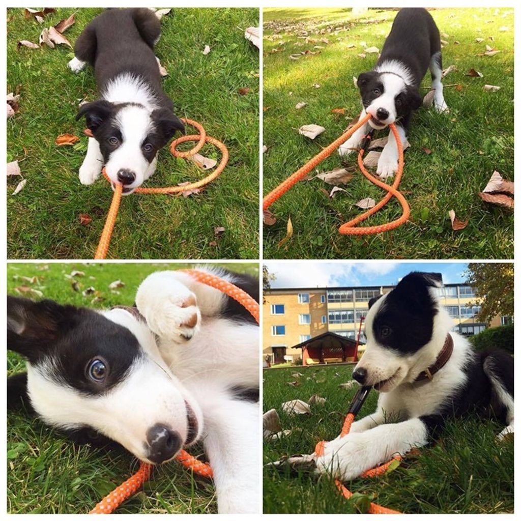 48f0d3fdf675304e68f18d66bbab0850