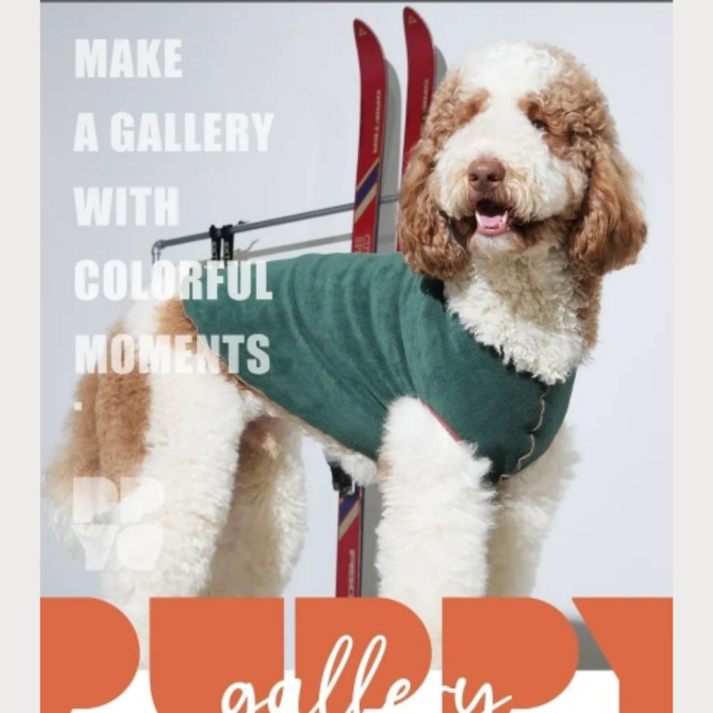 tw-11134207-81ztp-me6spfnvoqo538