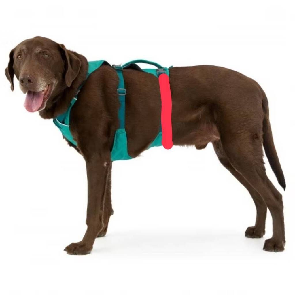 tw-11134207-7ras8-m27ls8b1ceyt99