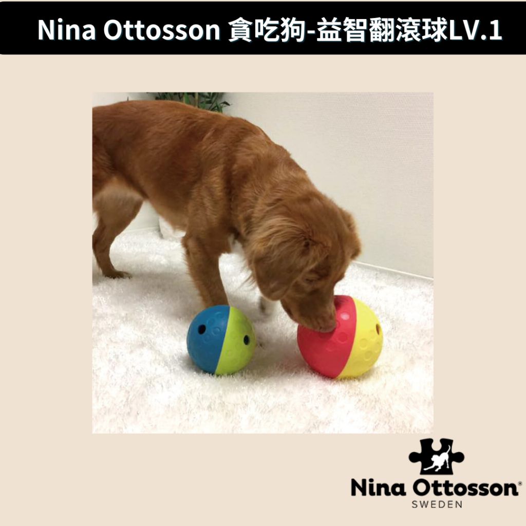 tw-11134207-7r98r-lwdyy1z964va3a