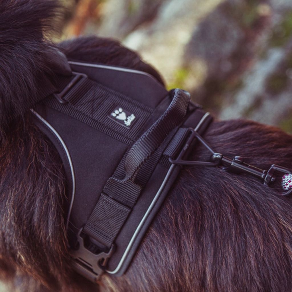 2ad206b32109169f57dd7920bd716bc5