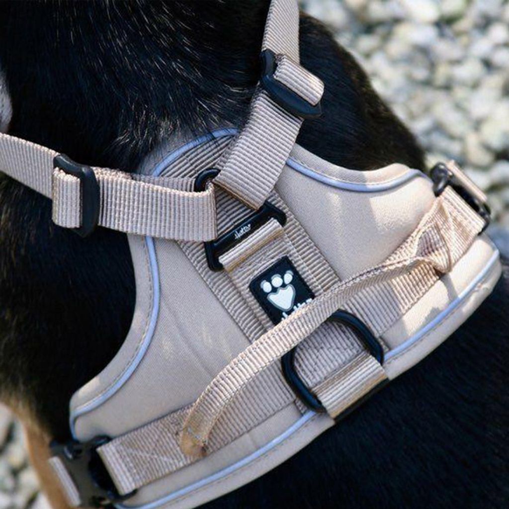 be61976e43eb52bfb582870e2291dcd0