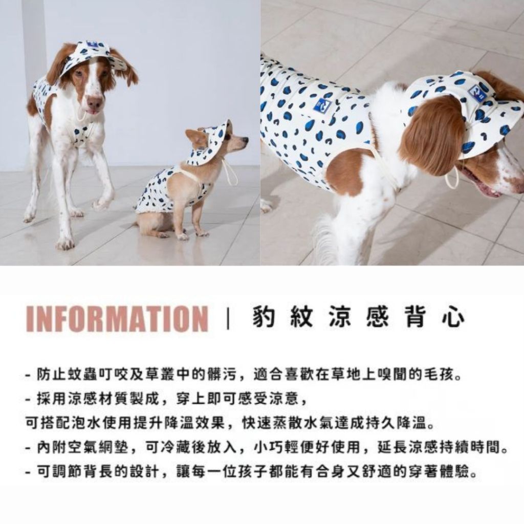 tw-11134207-7rbka-majqwbx6rawp56