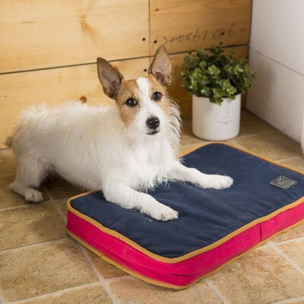 d8090946587474fa97be2f4884c91b1f