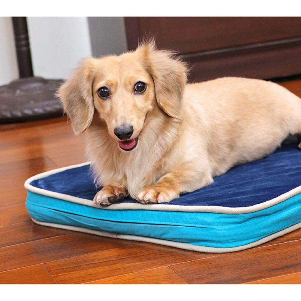 2e510a0dbd814ab5bba41f84f66460e3