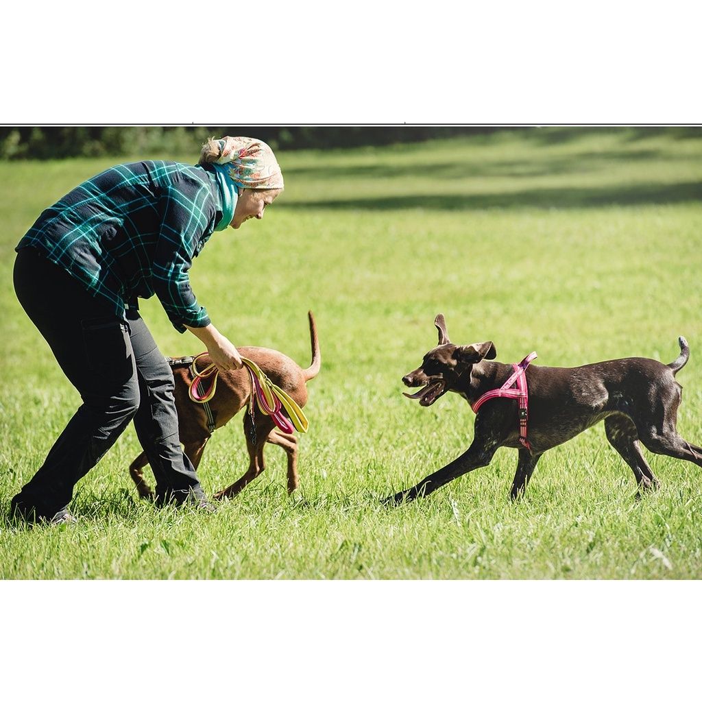 ccec4d0185b669dd12ebffff97f113f2