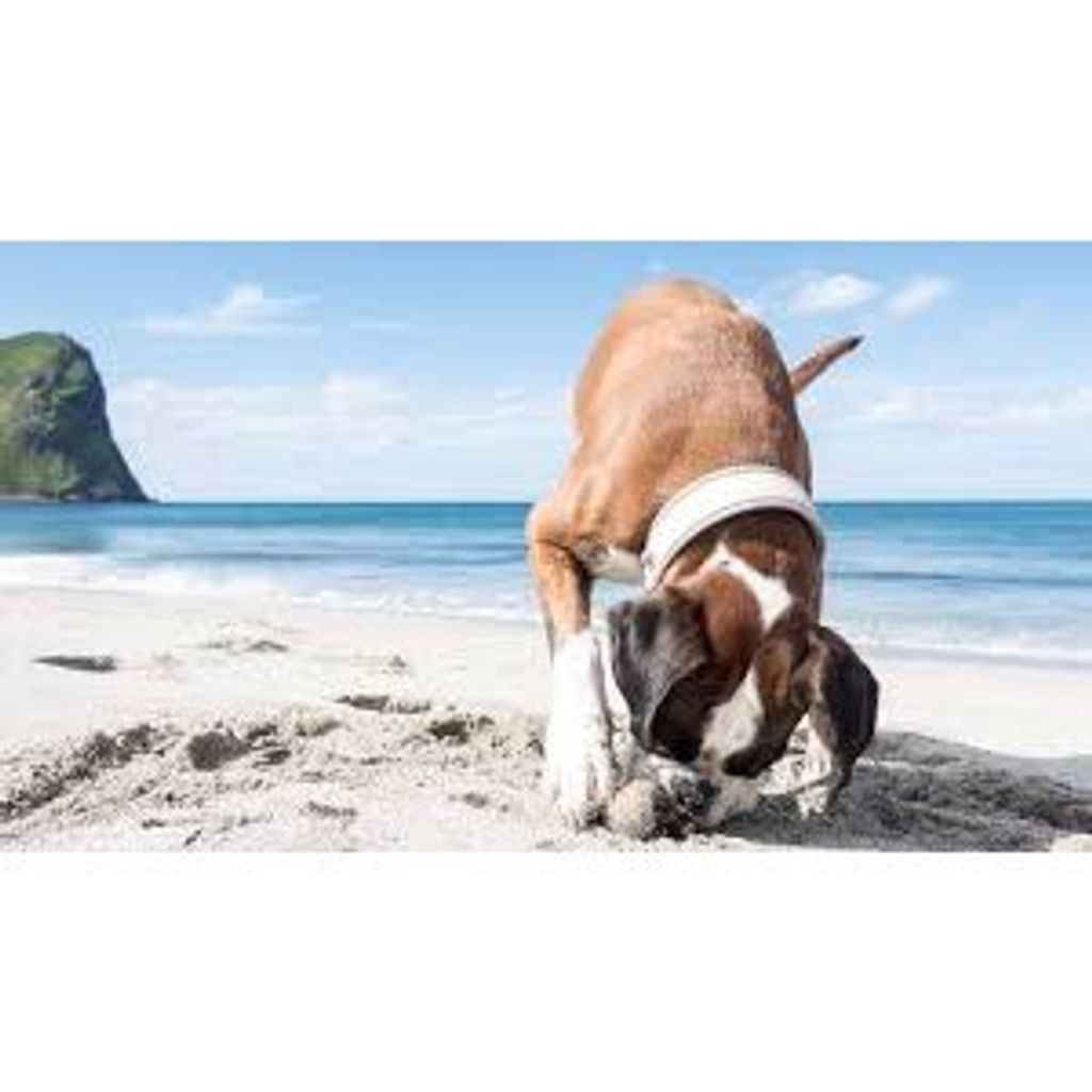 0366e351b7a1e95ccc85351ab56e88bd