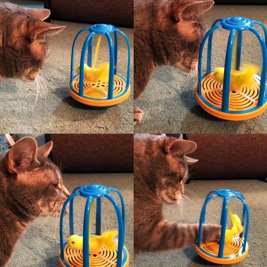 1d3cff510013e19394467783701171e7