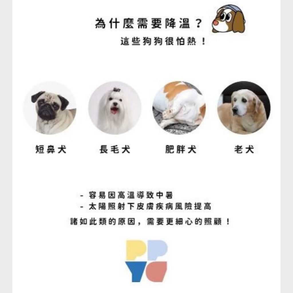 tw-11134207-7rbke-majlxpyu7srccd