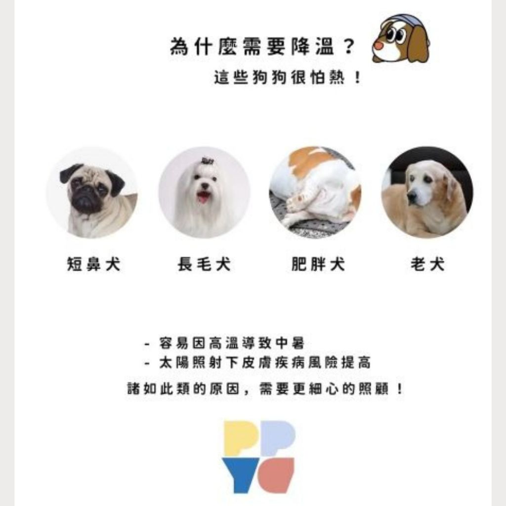 tw-11134207-7rbkd-majkdruzqi9l72