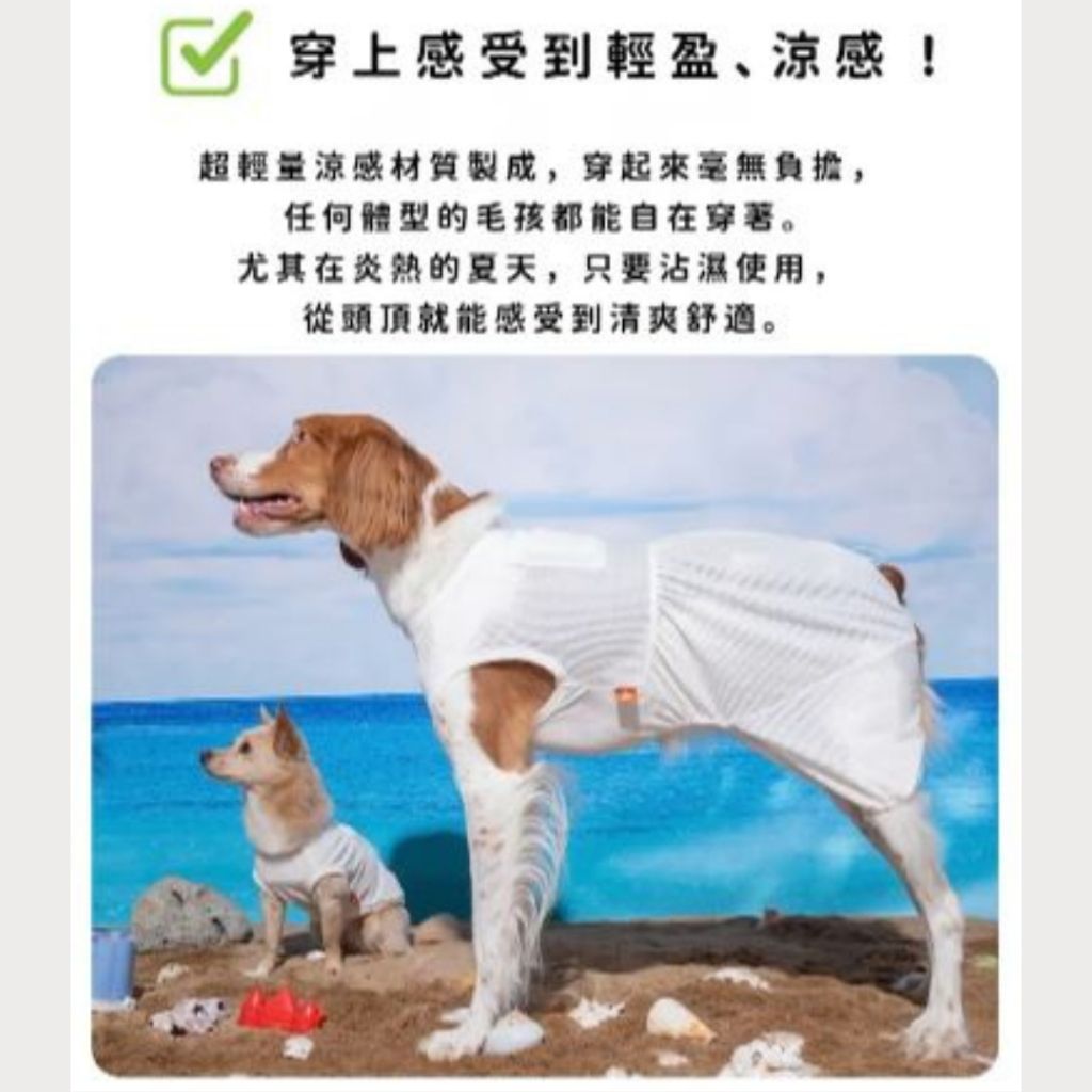 tw-11134207-7rbk8-majke6unojue17