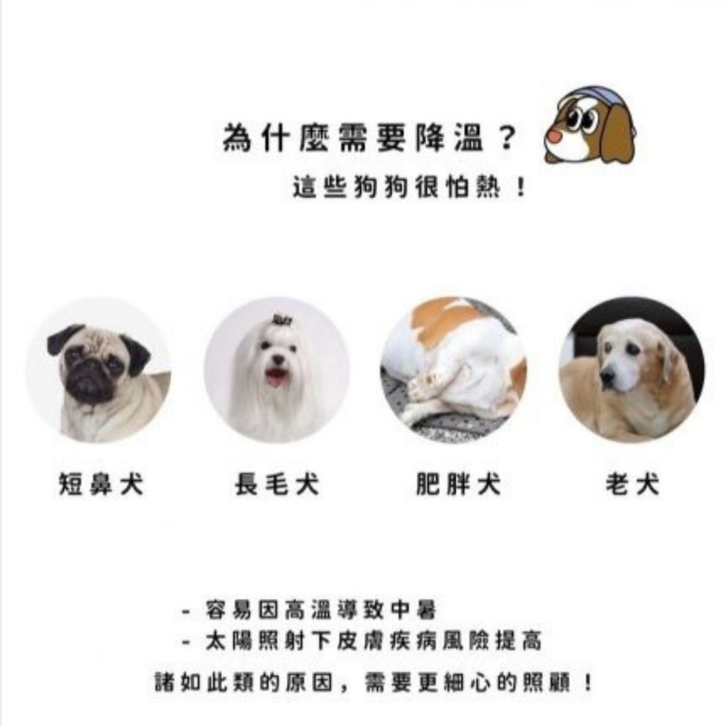 tw-11134207-7rbke-majn8gz3c86028