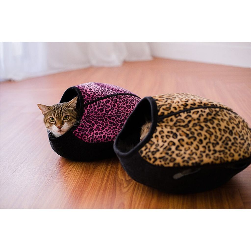 4dee5f3eb7ed02a5c1c9cf80c71aecb5