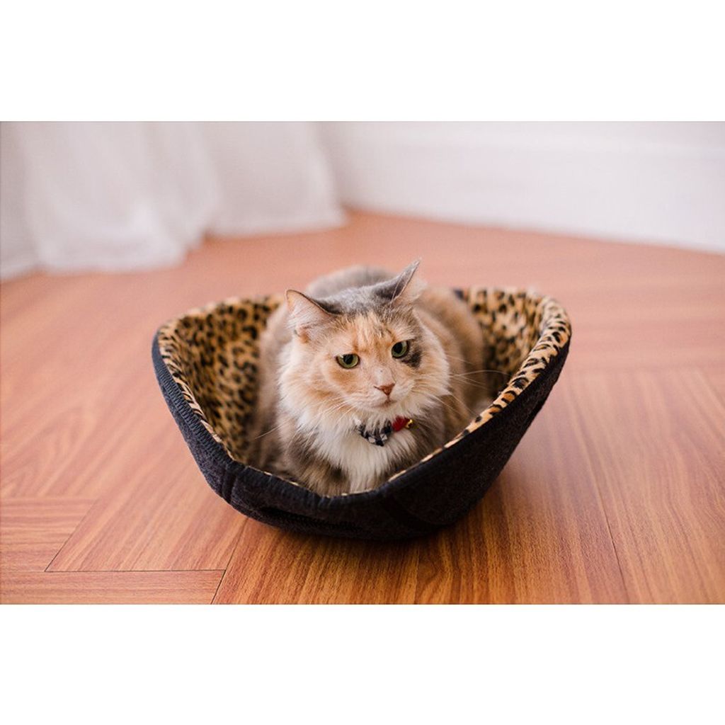 74f36ee731cdaa57929b004d28a4d9f3