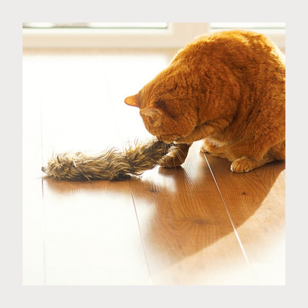 tw-11134207-7rasl-m3lnx5xc13tmda