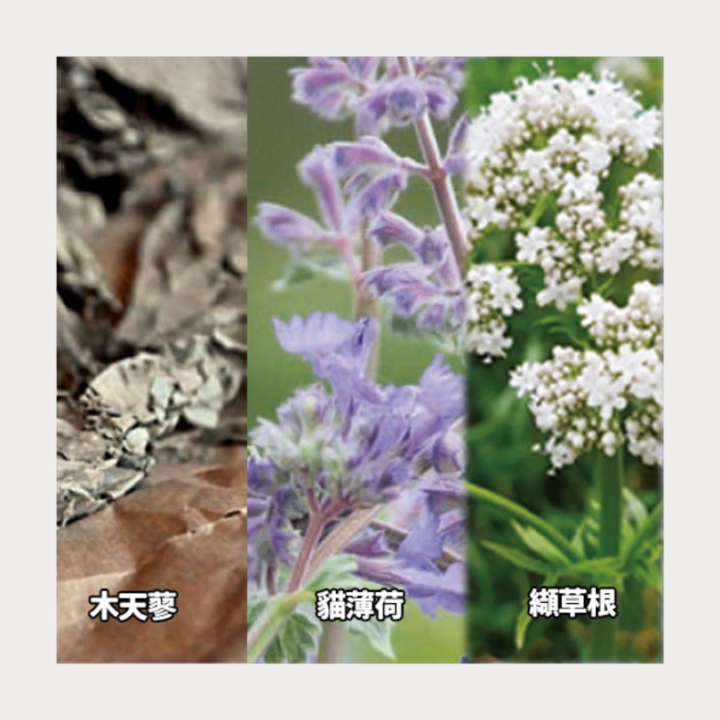 tw-11134207-7rasf-m3lnxxhjp4ey2b